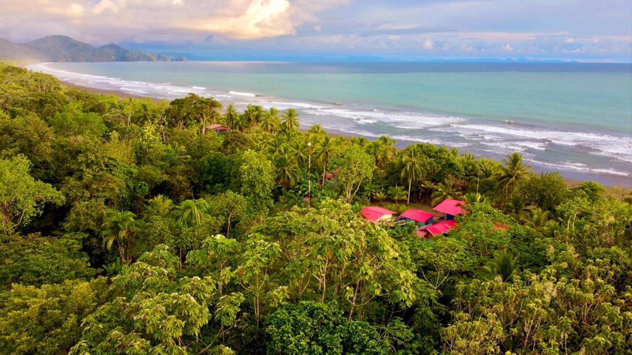 Tortuga Bay Eco Hotel El Valle  Екстериор снимка