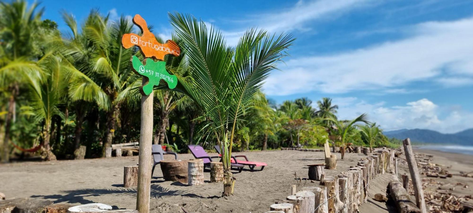 Tortuga Bay Eco Hotel El Valle  Екстериор снимка