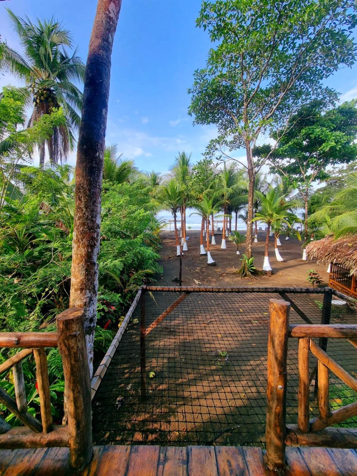 Tortuga Bay Eco Hotel El Valle  Стая снимка
