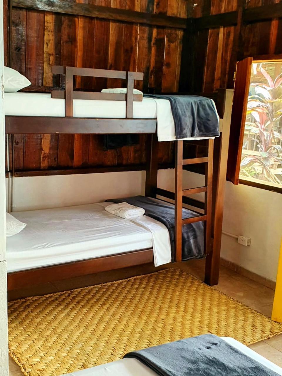 Tortuga Bay Eco Hotel El Valle  Стая снимка